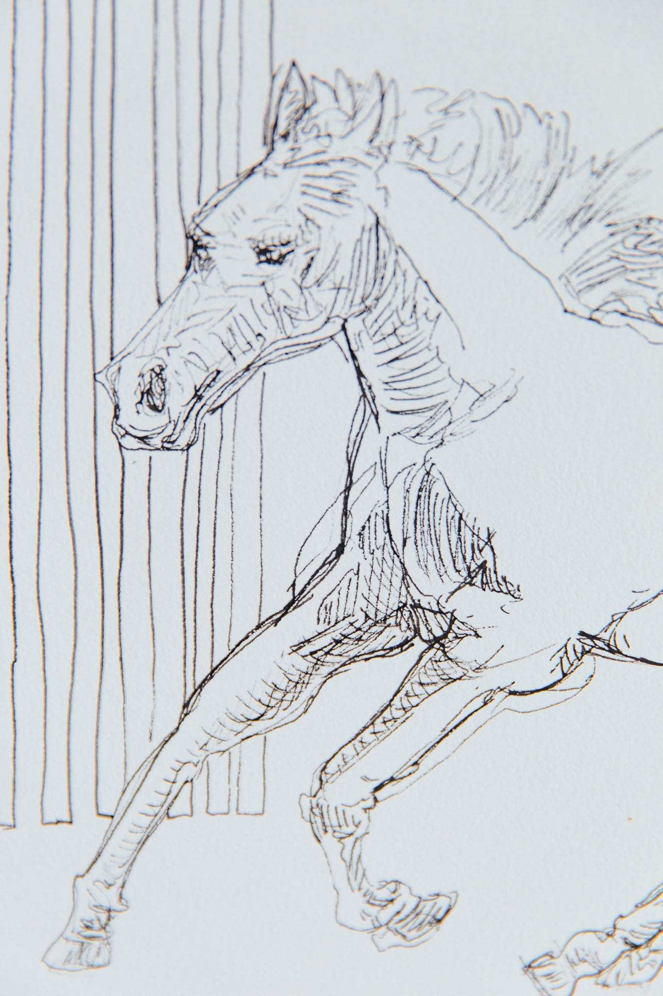 Justin Giunta "Assorted Sketches"