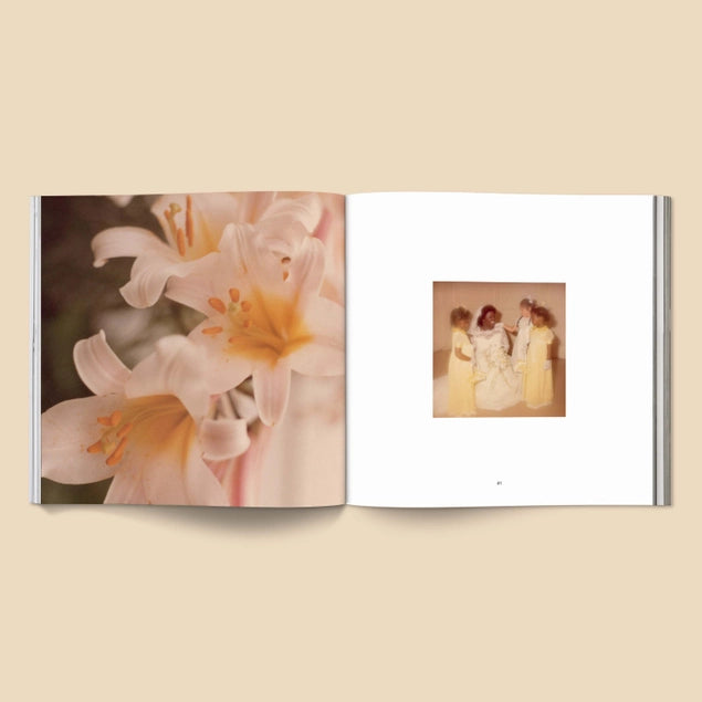 Forgotten Flowers - A Collection of Found Floral Photography