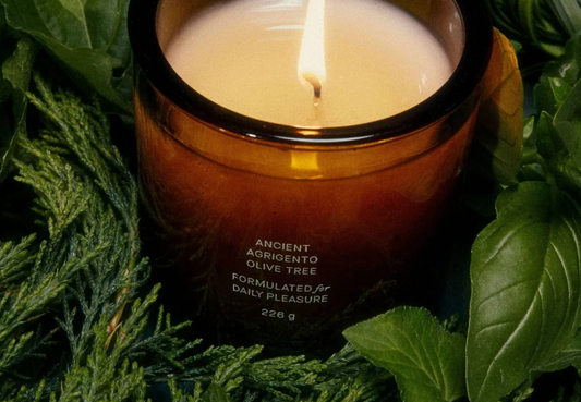 Flamingo Estate Ancient Agrigento Olive Tree Candle