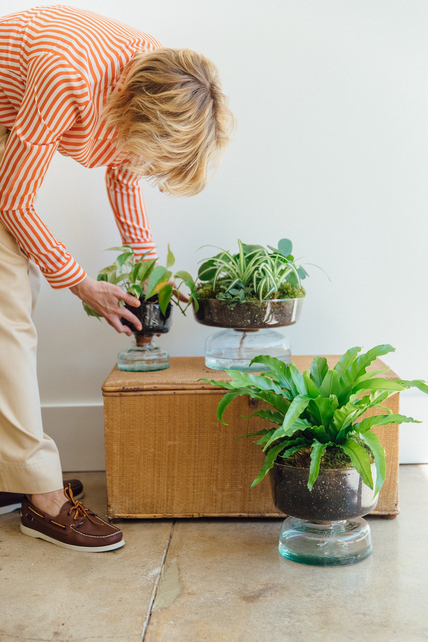 LSA Canopy Self Watering Planter