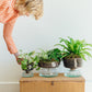 LSA Canopy Self Watering Planter