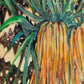 Fritillaria Study