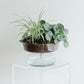 LSA Canopy Self Watering Planter